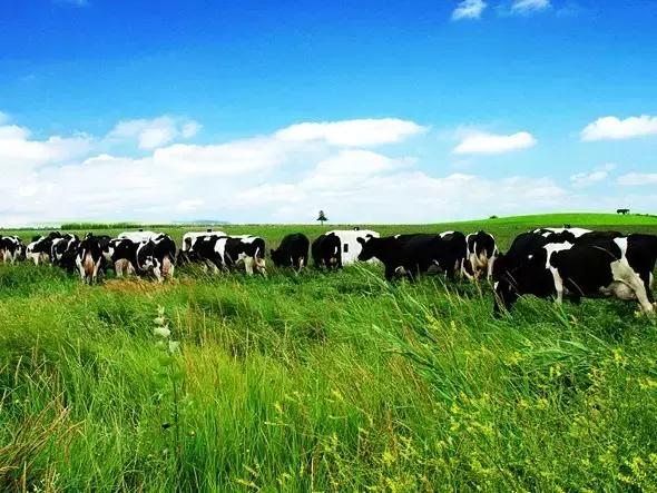 如何把路过门店的顾客吸引入店,门店用哪些方法引流顾客进店