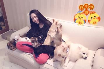 古牧真的很难养吗,古牧被遗弃了