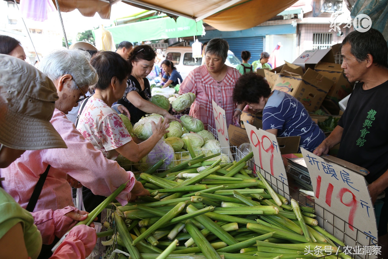 蔬菜批发行情为什么这么差,2017蔬菜市场价格预测