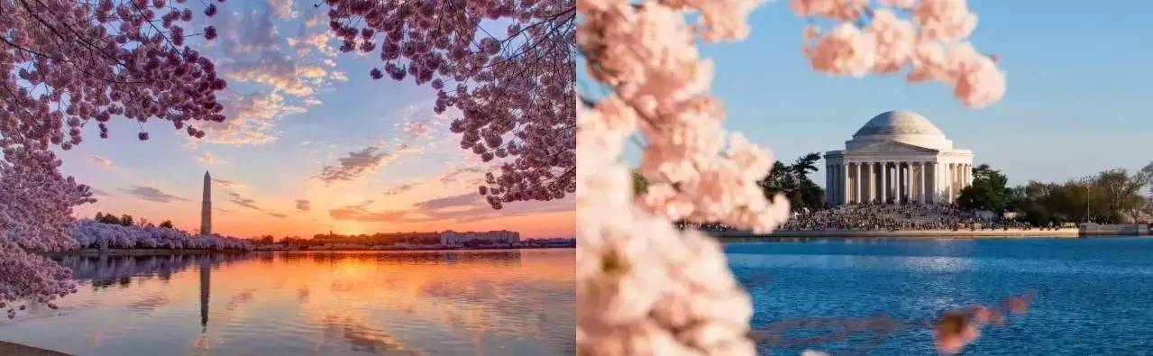 只能做个月光女孩了|美利坚旅游指南，开架货柜必买单品！