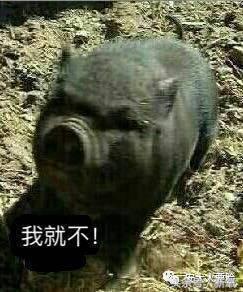 日系护肤品危害,日系护肤品有辐射