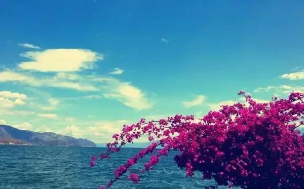 白百何采访说自己就是第三者完整,白百何独家专访