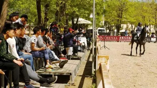 鸟巢之路马术巡回赛,2022鸟巢之路马术比赛观看渠道