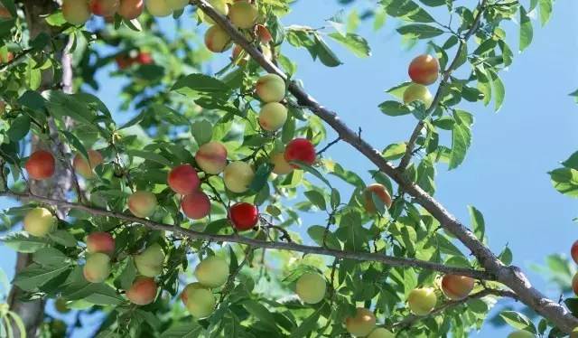 房顶漏水下面的地砖怎么处理,屋顶瓷砖漏水怎样处理最好呢