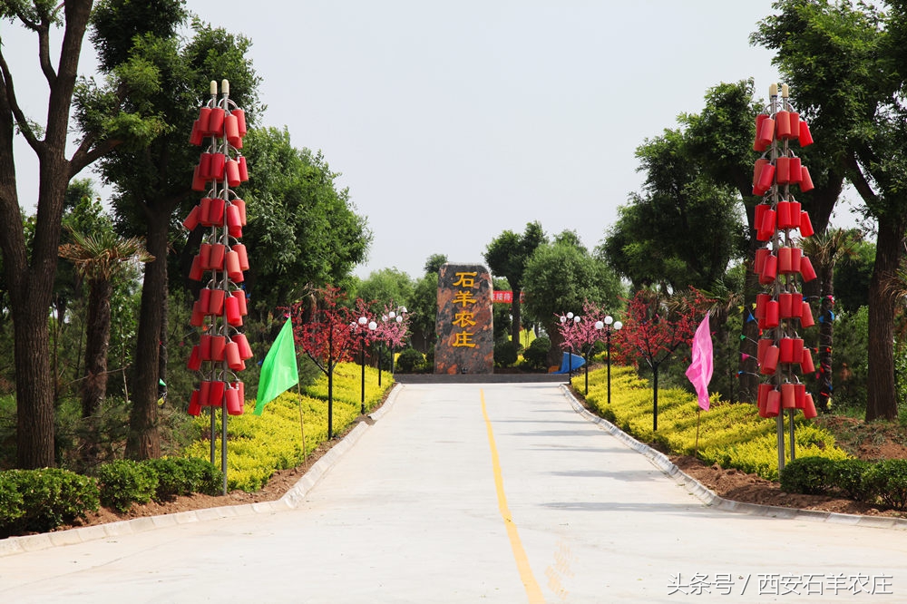 西安周边适合遛娃的度假山庄,西安周边两天一夜度假推荐