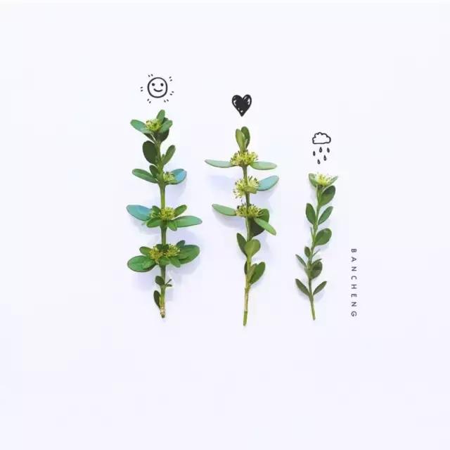 怪不得网红都那么美，原来全靠这些修图技巧，我甘拜下风