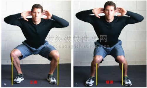 收藏锻炼身体方法,收藏每天十分钟哑铃操