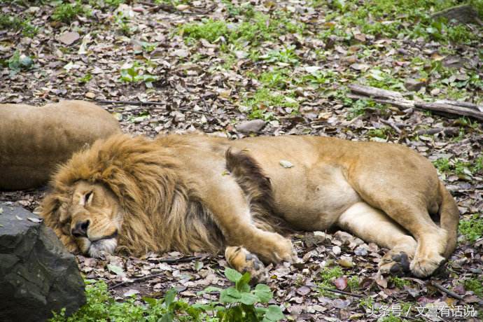科学数据表明运动的好处,运动等于长寿吗研究结果让人意外