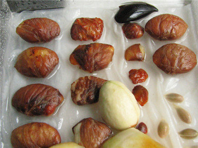 山竹种多久才可以开花结果,山竹是这样种的