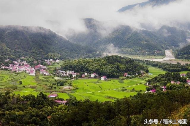 蜂蜜过期了怎么办小妙招,蜂蜜过期了怎么处理最好