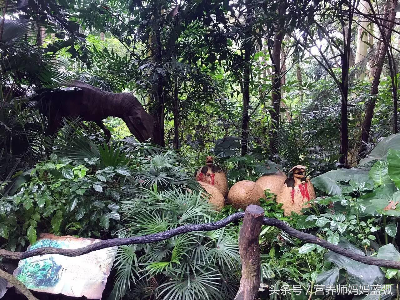 亲子游|井柏然推荐，长隆野生动物世界和海洋王国深度游记！