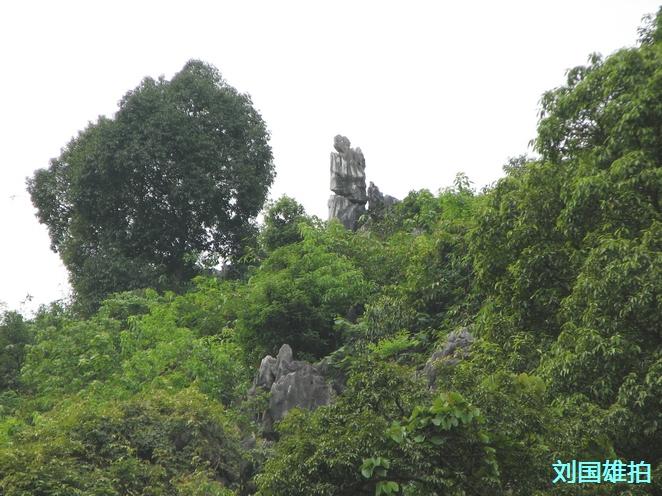 田东大石山区有个别墅村，蔬菜种在屋顶上