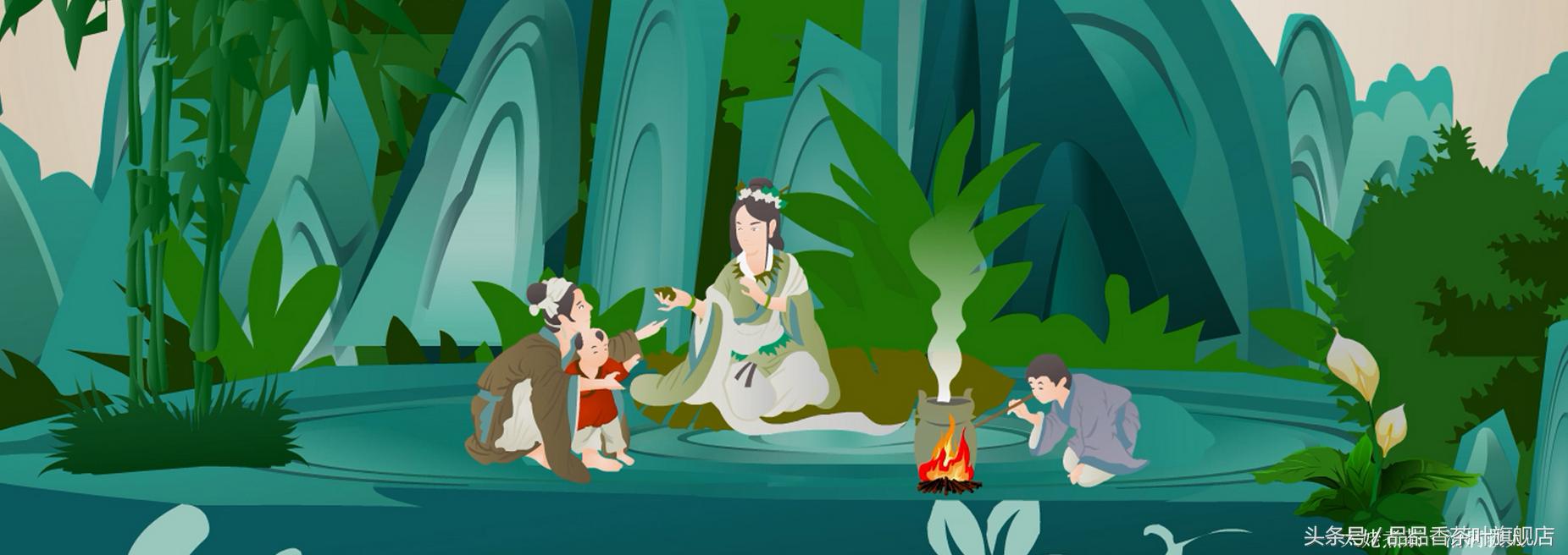 福鼎白茶品品香好喝吗,福鼎白茶品品香