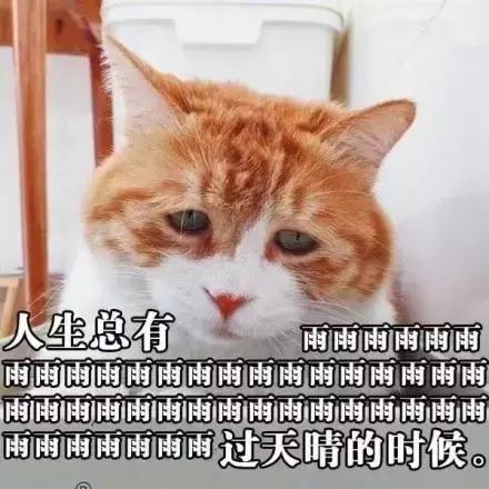 误删万字长文，凌晨哭着重写｜42个新媒体人的最惨故事