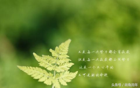 电脑驱动器常见故障维修,笔记本电脑常见故障解决方法