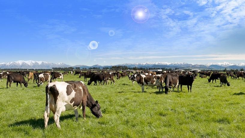 小国成功逆袭,小国的逆袭