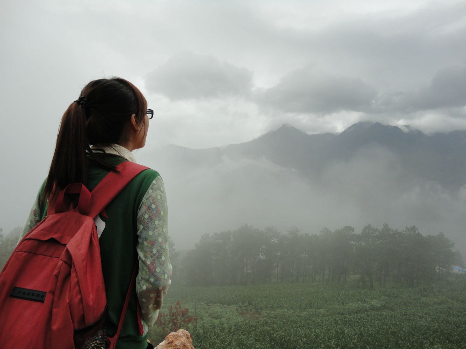 养眼护眼法,养眼护眼养生知识