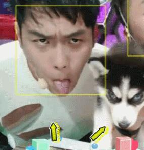 互怼姊妹花?“作”出天际?《花少3》才不是国外联谊辣么简单!