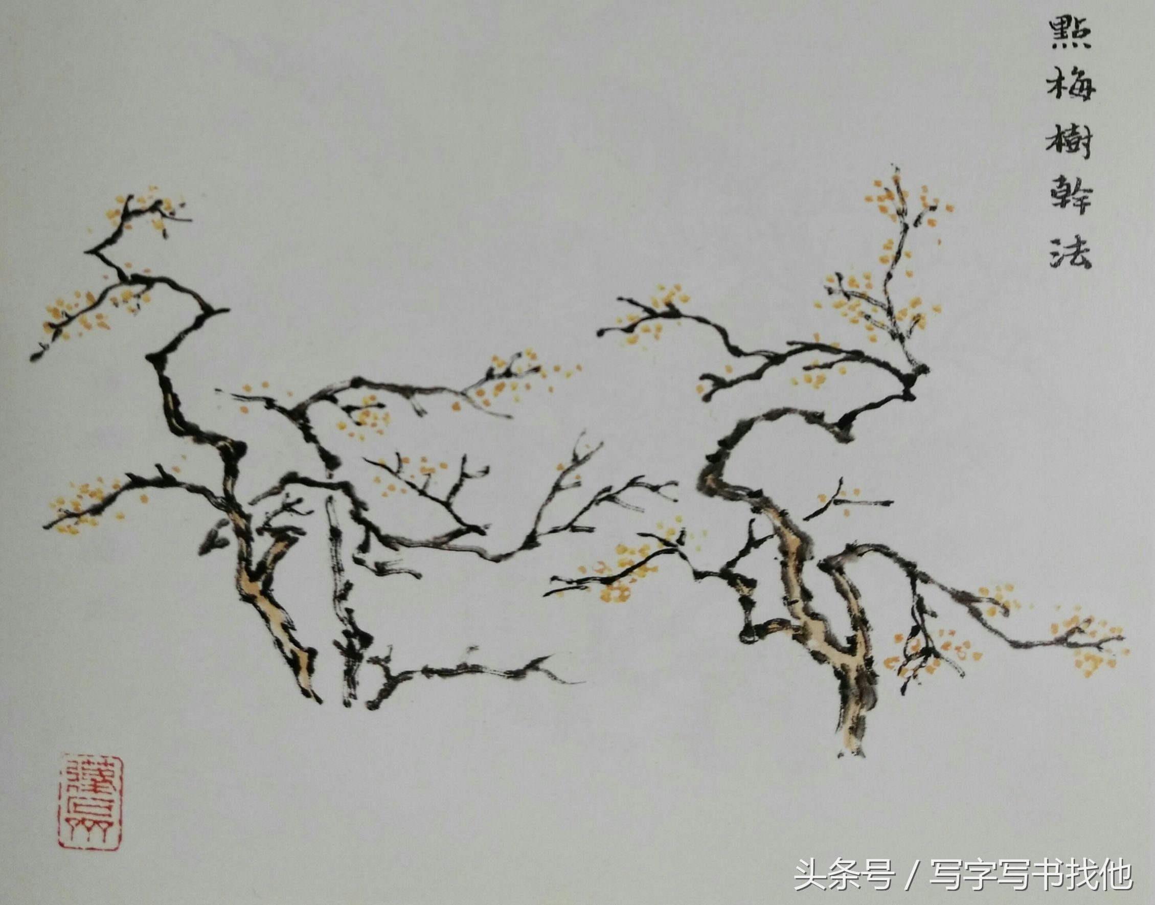 大写意花鸟画技法视频芭蕉,中国画大写意芭蕉叶画法