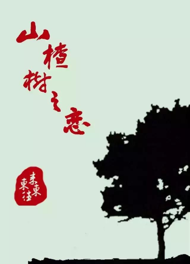 有哪些歌最打动你,哪些歌词打动人心