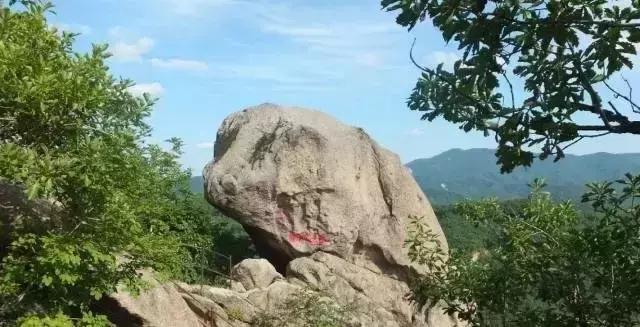 西安3月底周边赏花踏青一日游,武汉踏青自驾一日游推荐