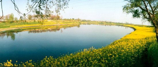 漯河最牛村,漯河最牛的镇