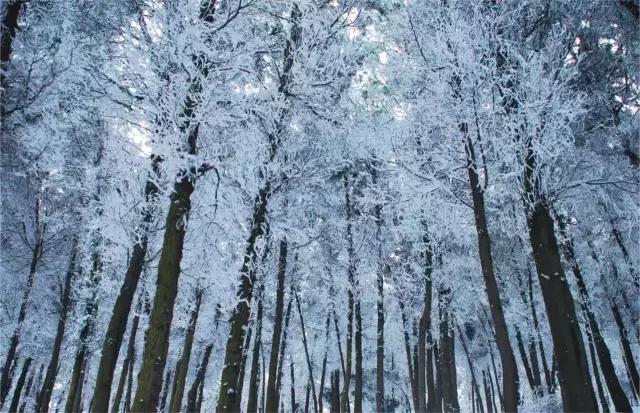 大西安真正的美景,大西安临潼