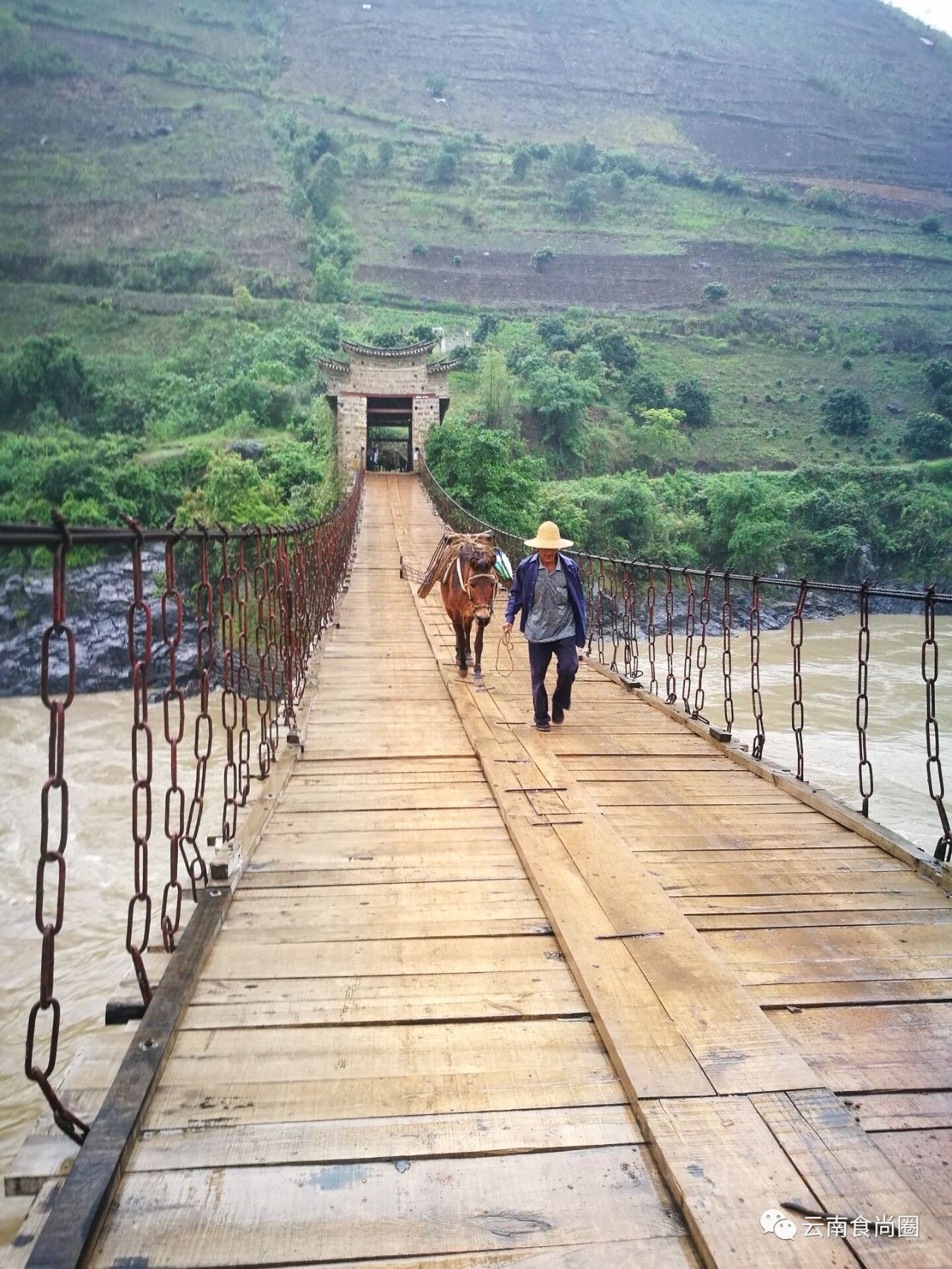 云南大森林蜂蜜好吗,云南热带雨林天然野生蜂蜜