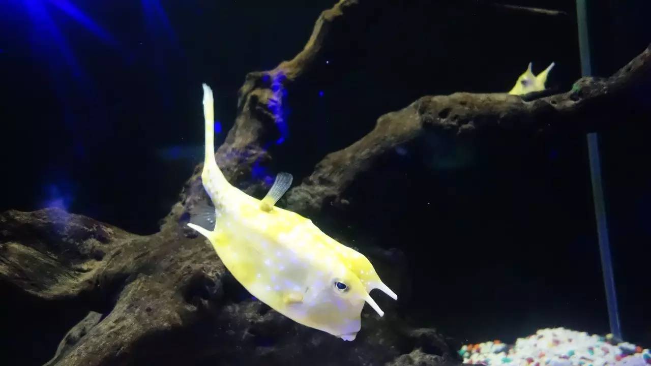 大连东北路有什么好玩的,大连哪里的海岸好玩