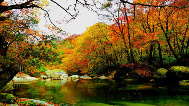 记金华的双龙洞诵读视频,记金华双龙洞诵读