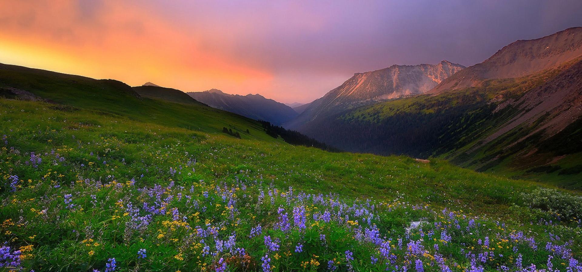 一站式掌握英语过去进行时的用法,一站式英语怎么说