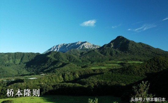 日本流产要去什么医院,各省份人工流产人数