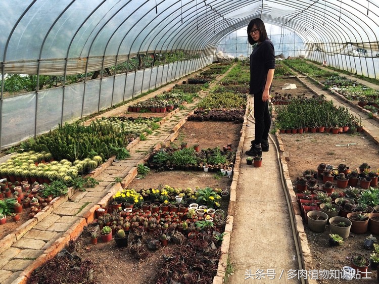 中日韩vs亚洲其他国家,中日韩比拼