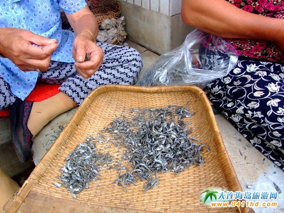 大连旅游攻略赶海和美食,大连旅游攻略必去的十大美食