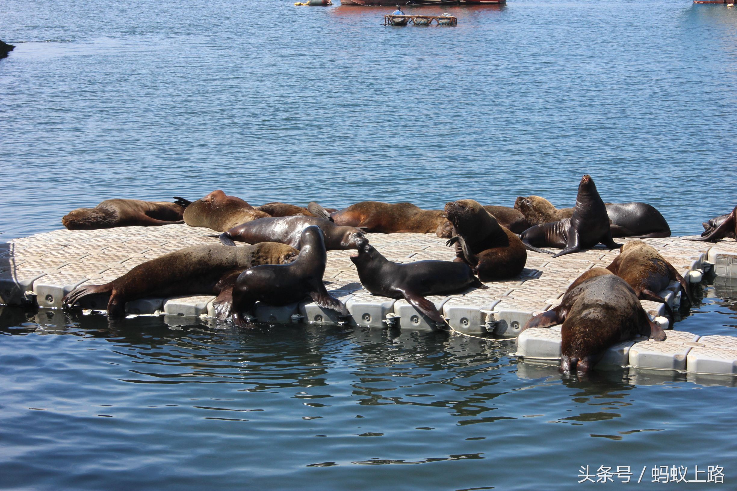 塔尔卡瓦诺智利军港图片,塔尔卡瓦诺城市