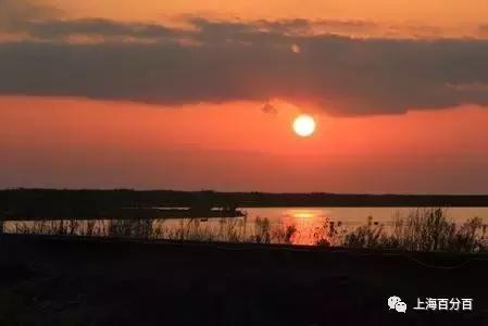 上海最美地方视频,上海最美的地方航拍