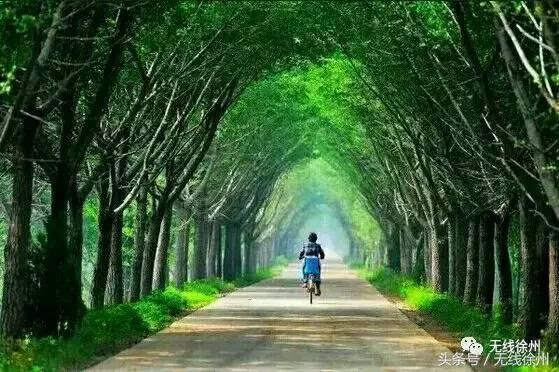 新项目落地徐州,徐州最新拟建项目