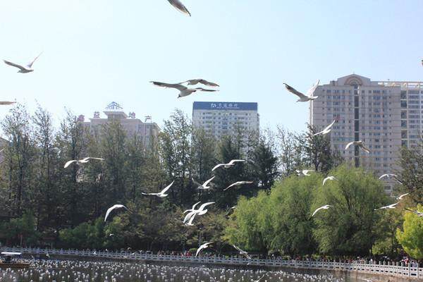 广州出发穷游15天攻略,旅行攻略国内穷游三天三夜