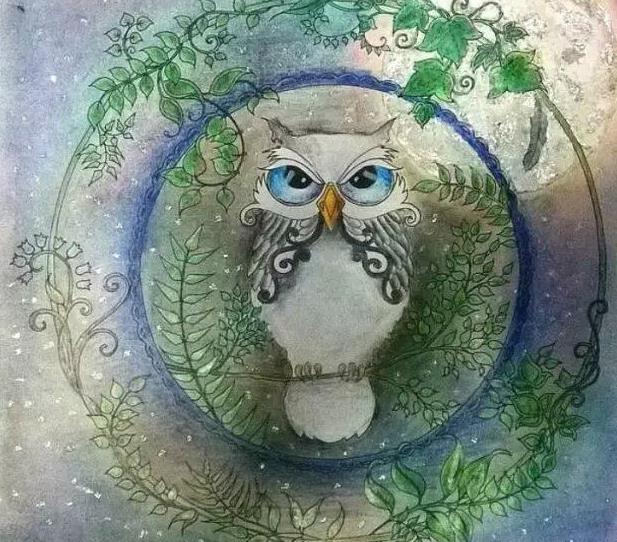 秘密花园2涂色成品,秘密花园涂色详细教程