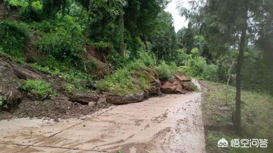 閬撳痉鐜勫浣涙硶寰,閬撳痉鐜勫