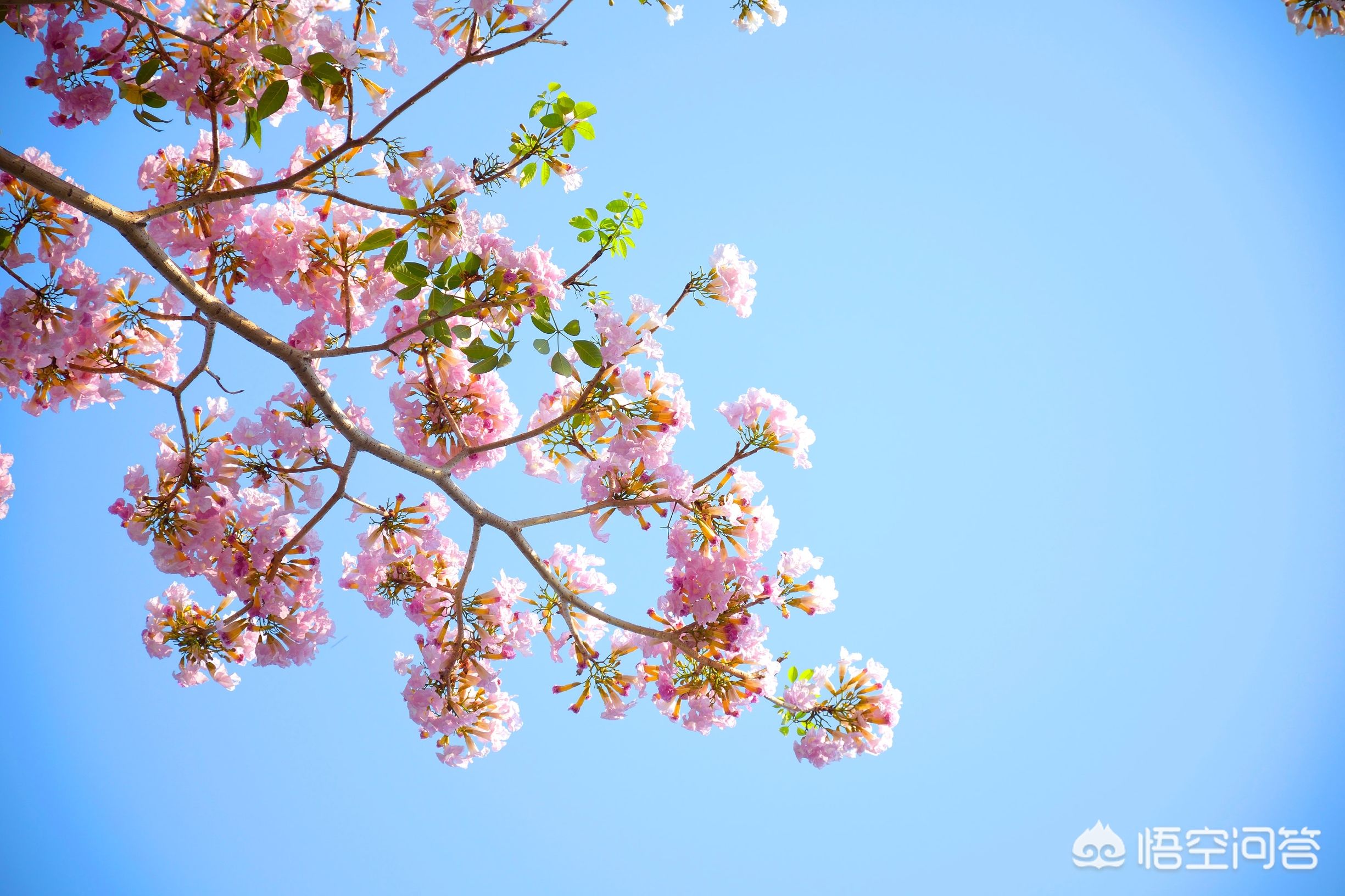 5分钟get十大摄影构图技巧,一般摄影构图常见的4种构图方法