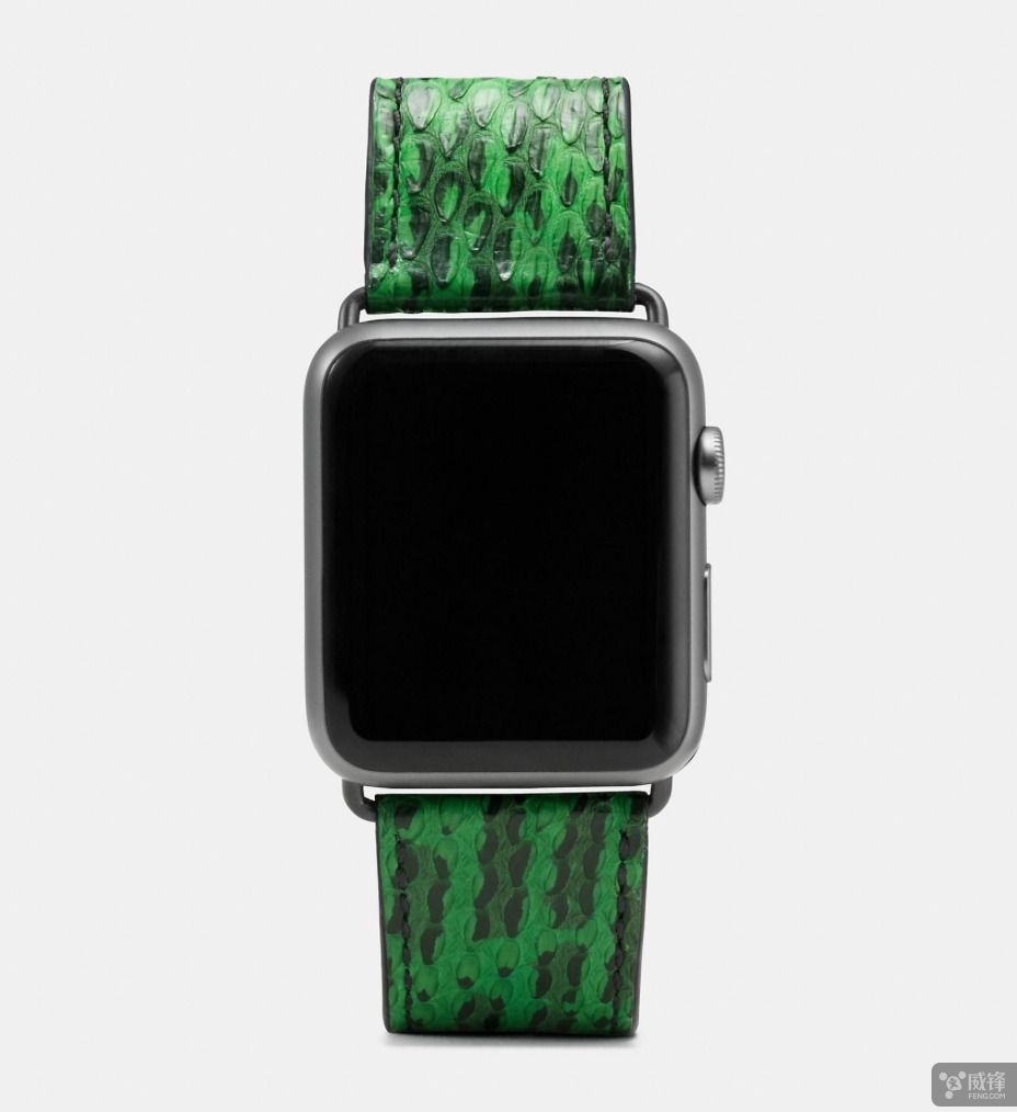 钄婚┌鑻规灉鎵嬭〃,钄婚┌琛ㄥ甫涓撳崠澶у叏