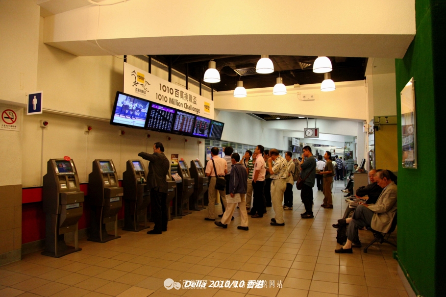 香港跑马地现场直击赛马