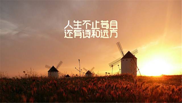 五一劳动节兵哥哥,军营五一的别样风采