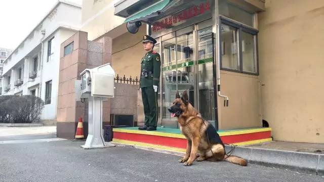 五一劳动节兵哥哥,军营五一的别样风采