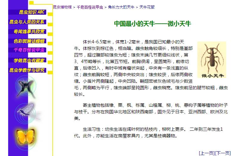 学习昆虫知识的网站,免费学习有趣的昆虫知识