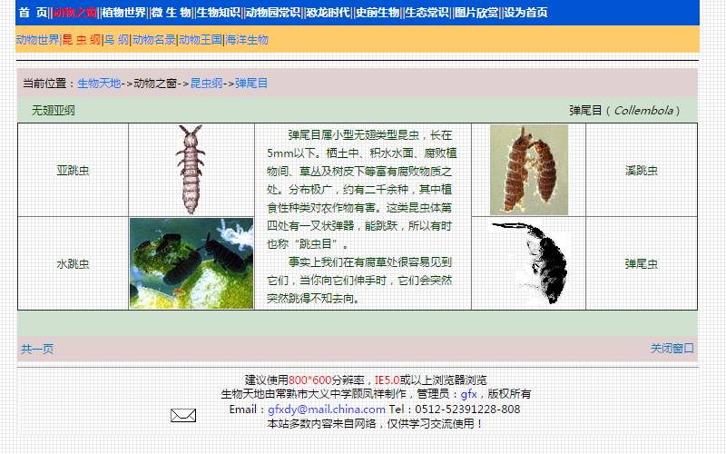 学习昆虫知识的网站,免费学习有趣的昆虫知识