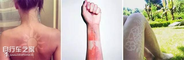 被晒伤了如何急速修复,多肉晒伤严重最快修复方法