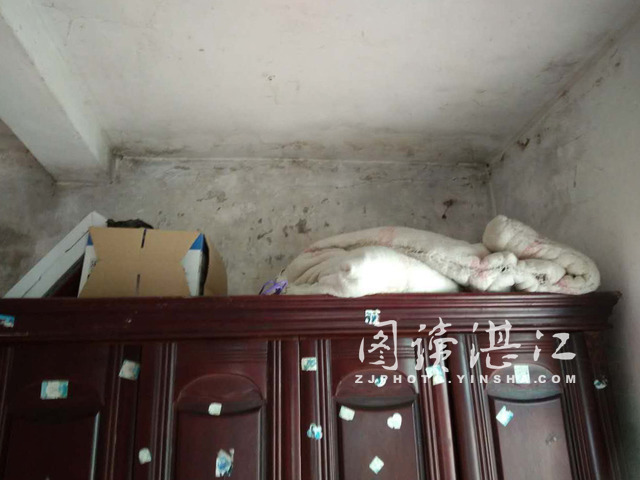 这可怜的叔侄一家