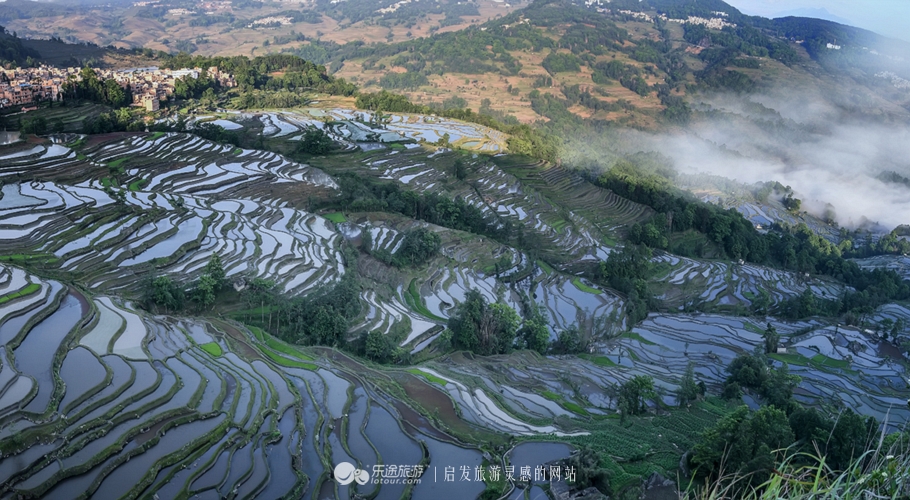 元阳梯田十二庄园香典民宿,元阳梯田世外桃源